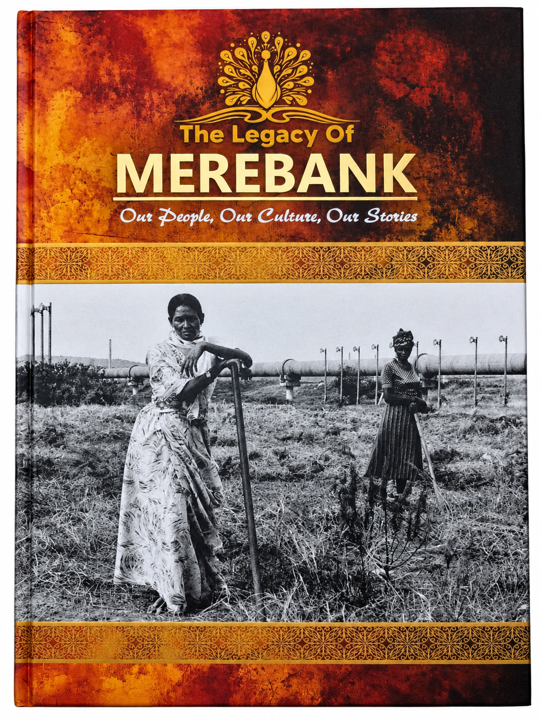 The Merebank Book cover